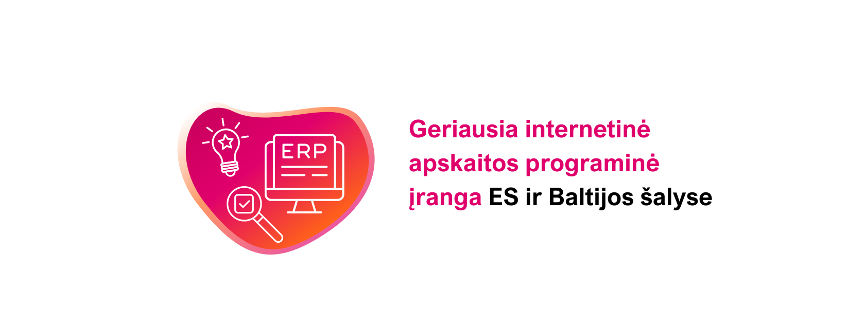 internetinė apskaitos programinė